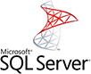 SQL Server logo